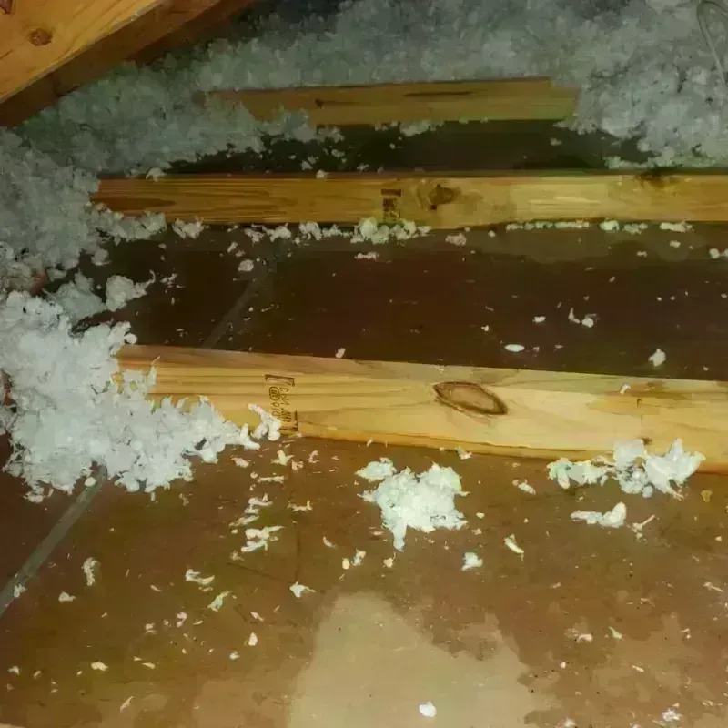 Attic Water Damage in Cleora, OK