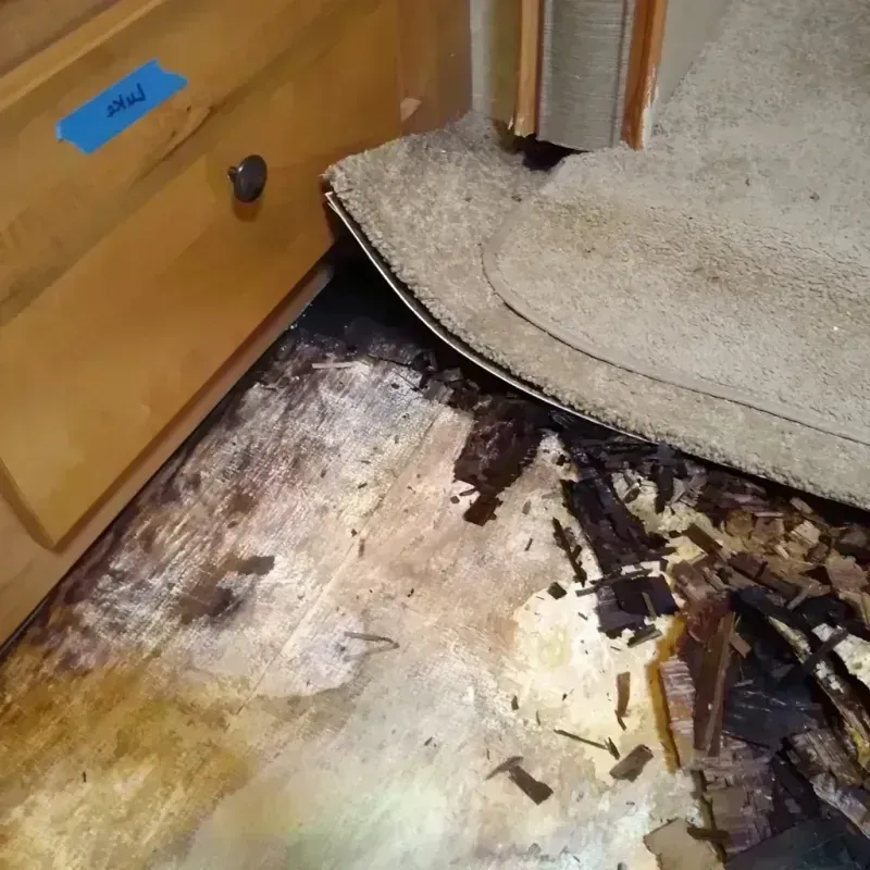 Best Wood Floor Water Damage Service in Cleora, OK